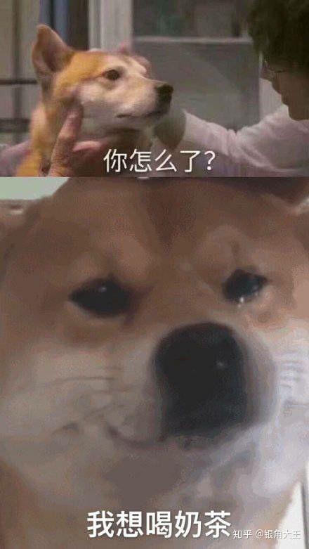 你生平用过最沙雕的表情包是什么?