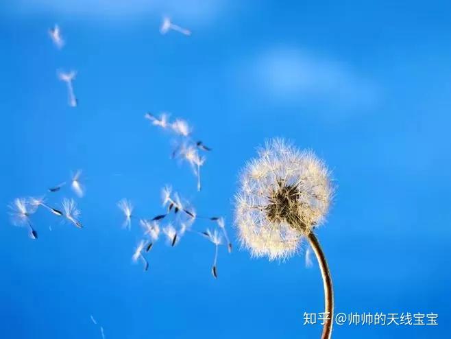 人生两个好:身体好,心情好!