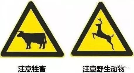 也就是黑色边框黄底内有"牛"图案的三角形警示牌表示的是"注意牲畜"
