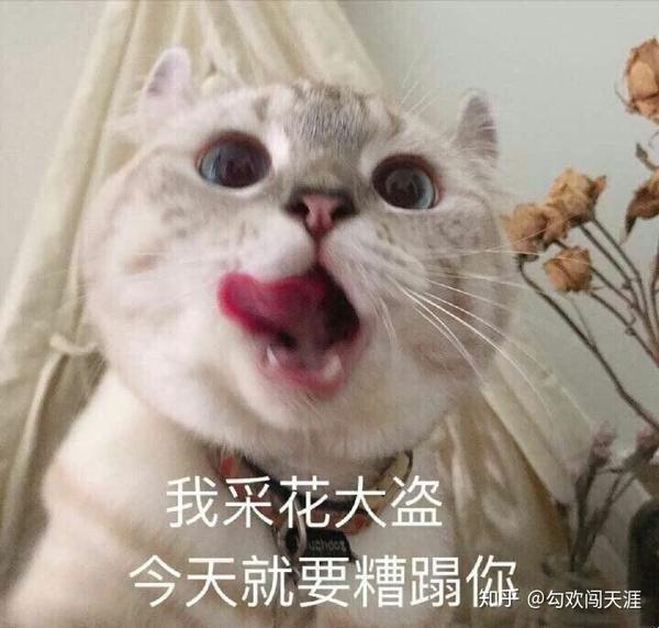 想问一下发女朋友表情包 惹女朋友生气了怎么哄呀?
