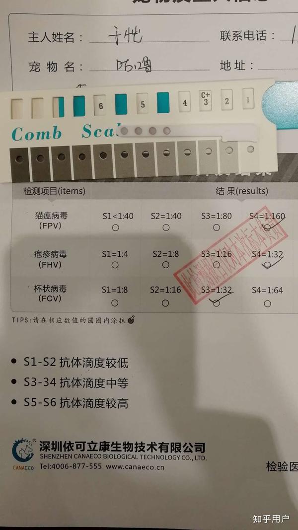 对猫进行三联抗体检测有何作用?