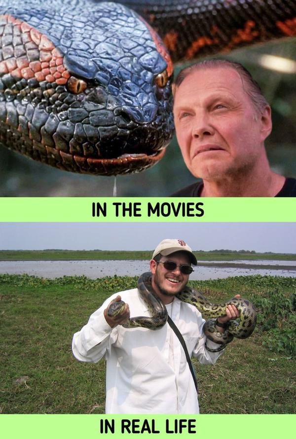 《狂蟒之灾》电影里的蟒蛇vs. 现实中的蟒蛇