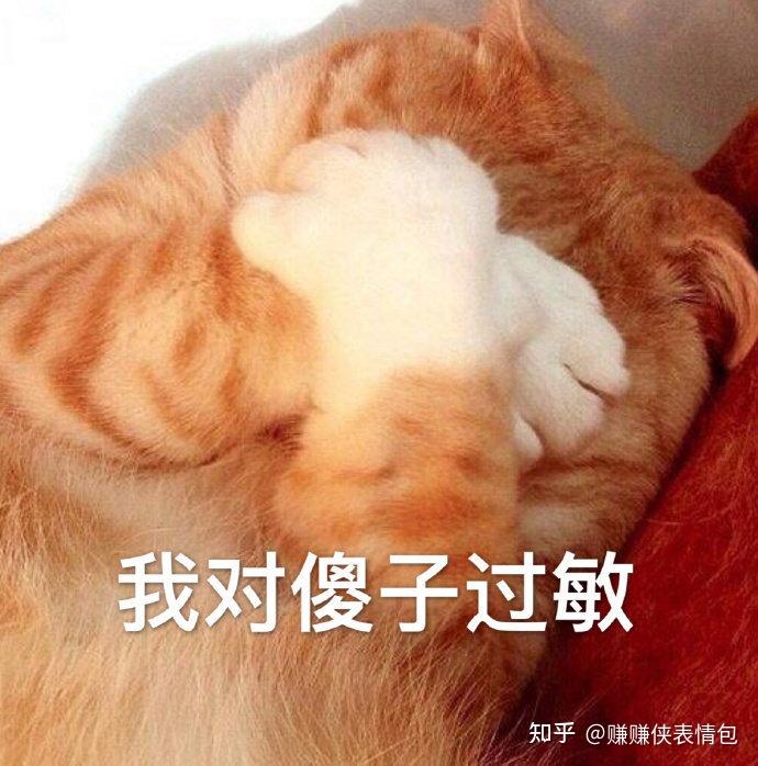 搞笑表情包图片:我对傻子过敏