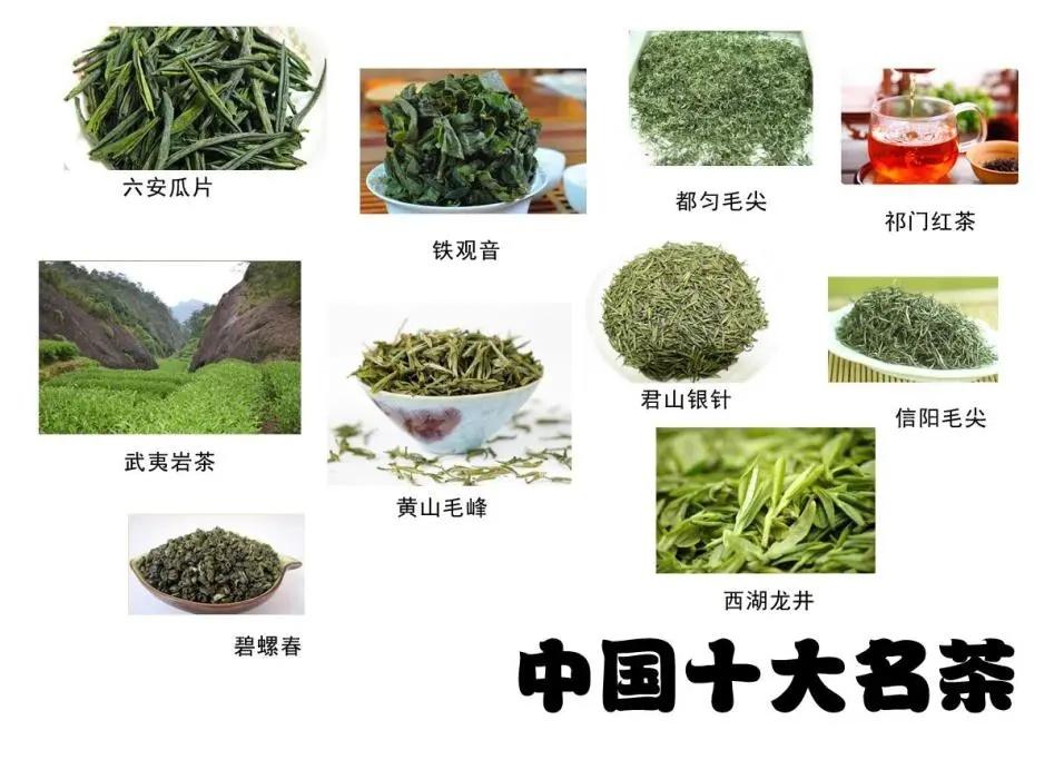 十大名茶"的榜单,来巩固茶在老百姓心目中的地位,同时提升中国茶的