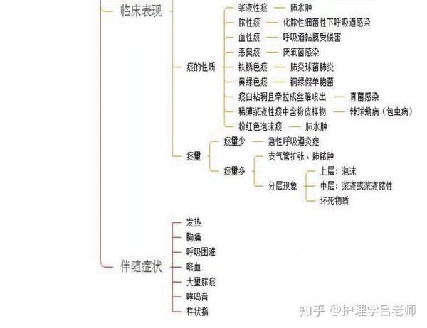 【诊断学思维导图(一)】