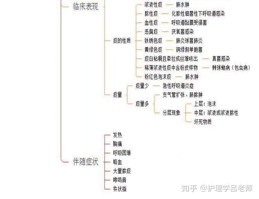 诊断学思维导图一