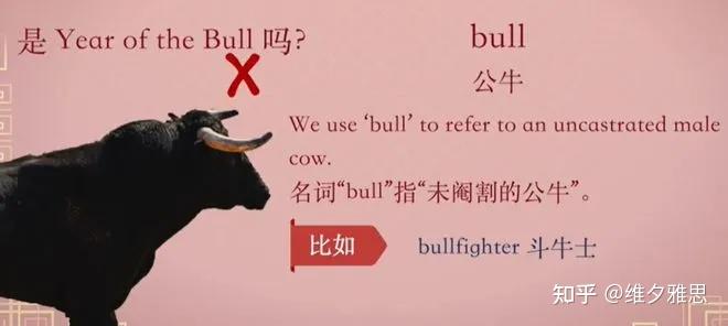 牛年的牛英语到底是cowbull还是oxcattle