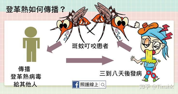 二,登革热传播途径 #登革热[超话]