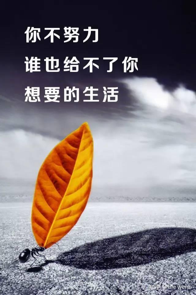 你有哪些适合摘抄的正能量励志句子?