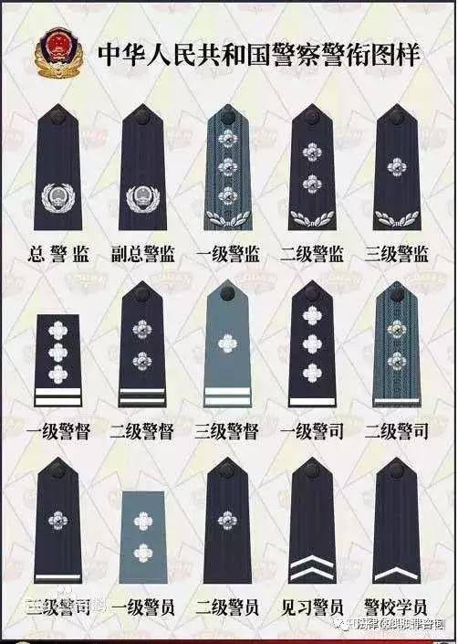 证明他就是动手杀人的真凶 以及中日两国警察警衔对比(其中巡查长一职