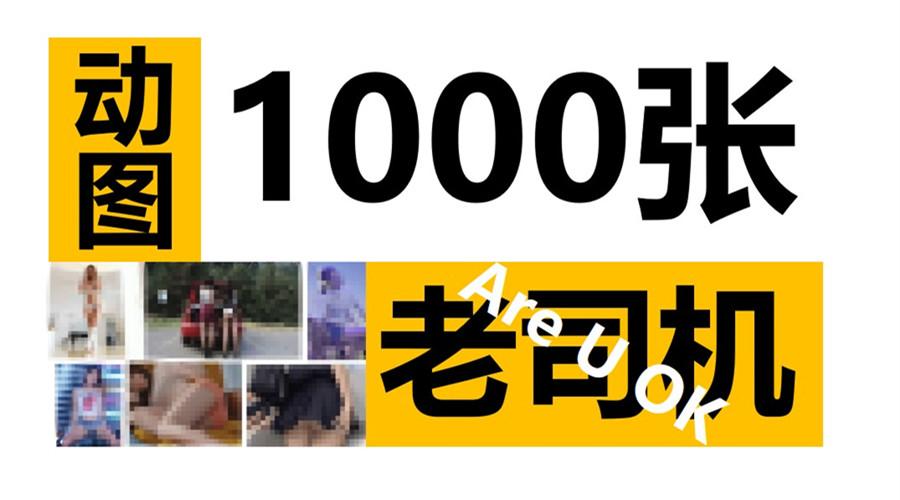 你好老司机因为你看过这1000张动图