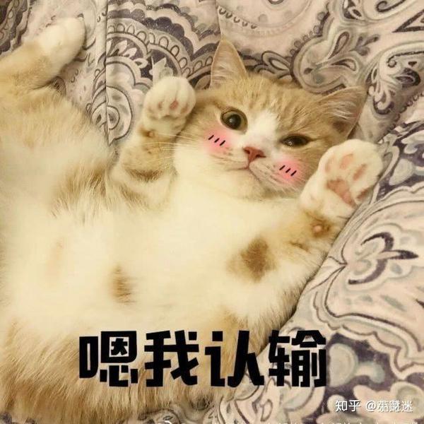 想问一下发女朋友表情包 惹女朋友生气了怎么哄呀?