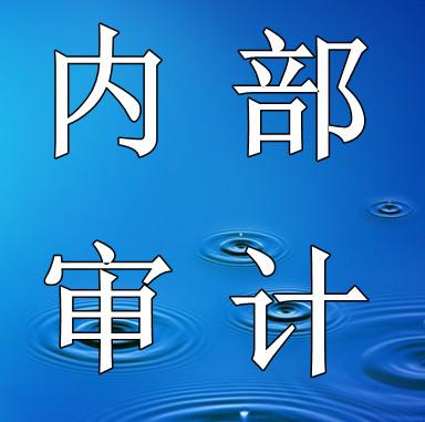 公司内部审计可能存在的问题