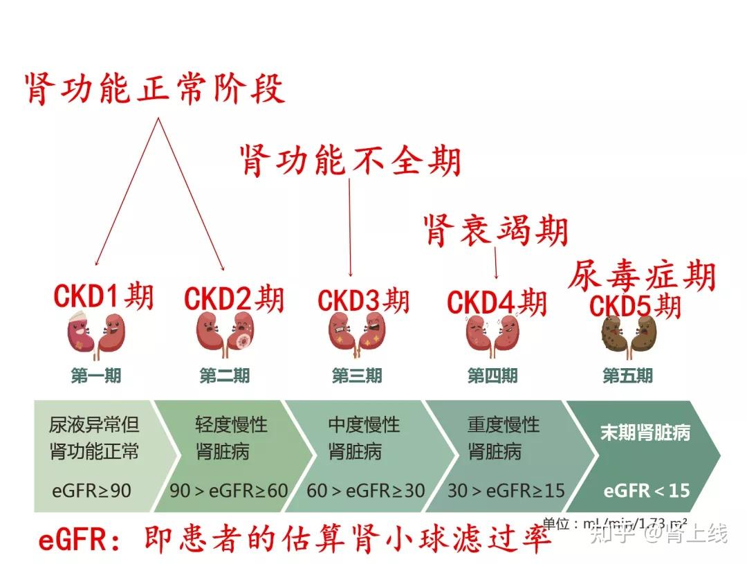 当肾衰竭来临认清这3件事少花钱少受罪值得肾友们看看