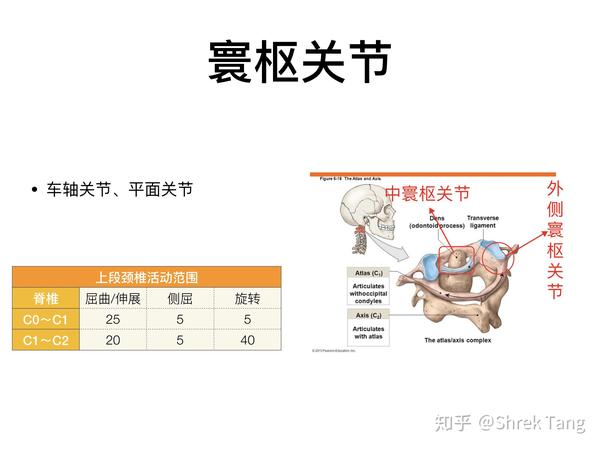 颈椎之寰枢关节