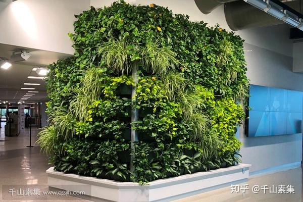 室内绿化墙植物墙,设计和经典图片案例分享