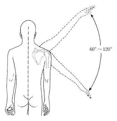 肩关节肌骨解剖学——由肩胛胸壁关节来看肩关节损伤「深度」