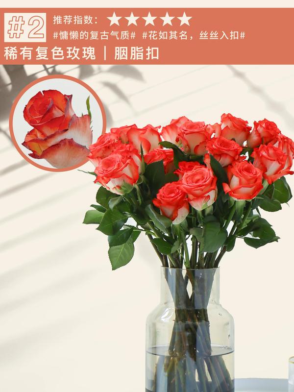 2.胭脂扣玫瑰