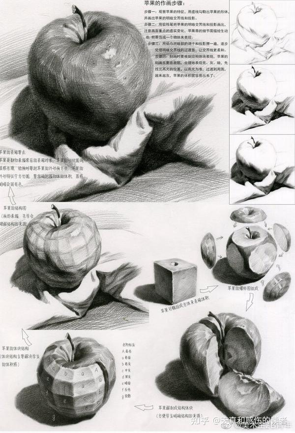 水果素描