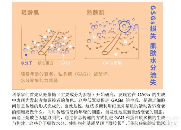 玻色因pro-xylane对熟龄肌友好吗?