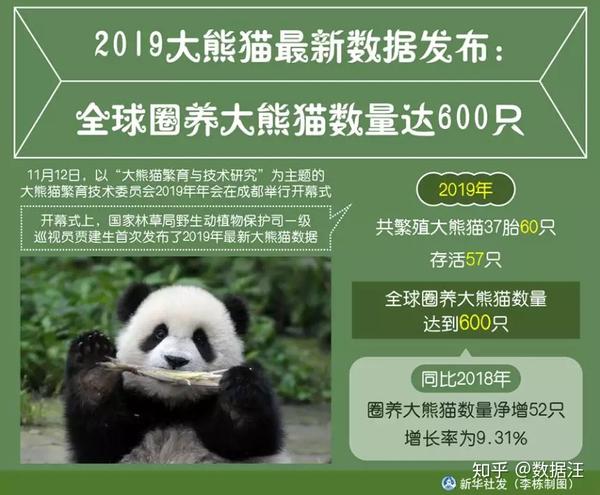 存活57只,但是这个数据已经相当喜人了,同比2018年,圈养大熊猫数量净