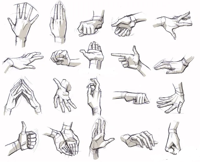 板绘初学者如何练习画手部?板绘绘制手部最有效的练习