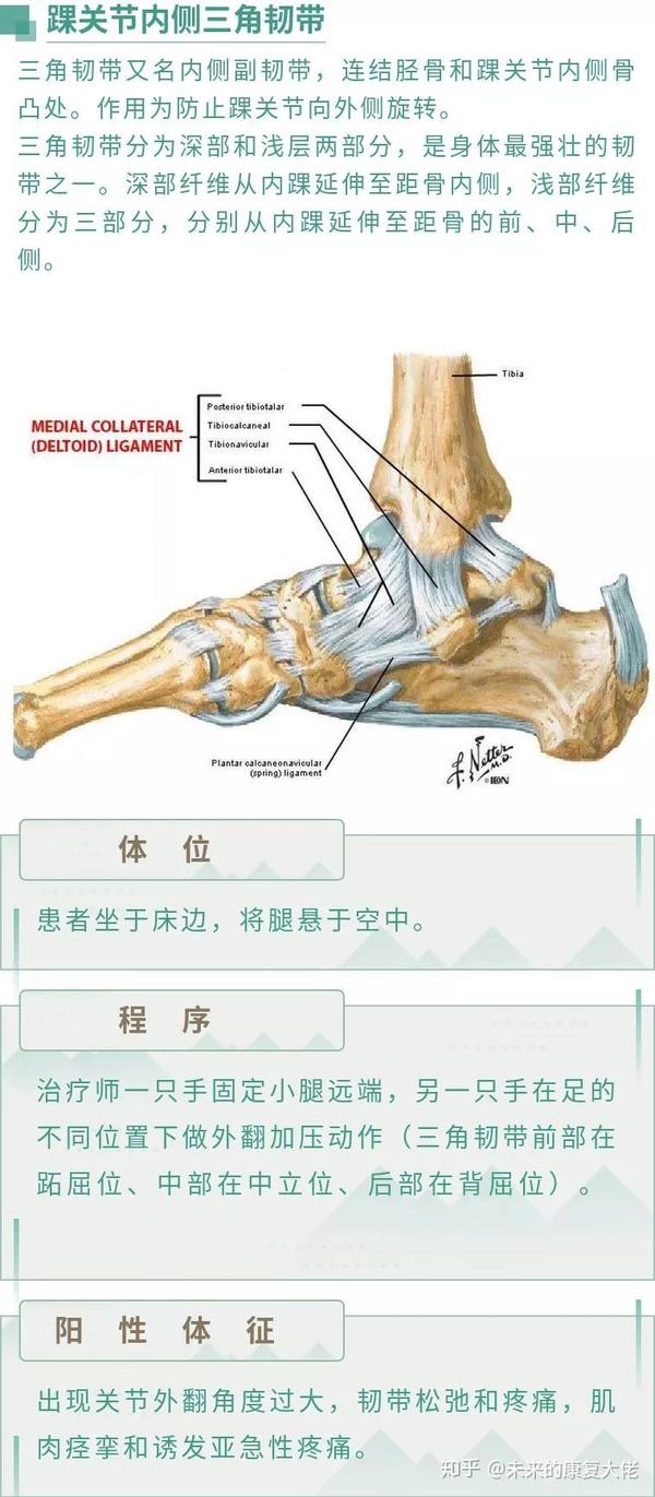 5.前胫腓韧带检查