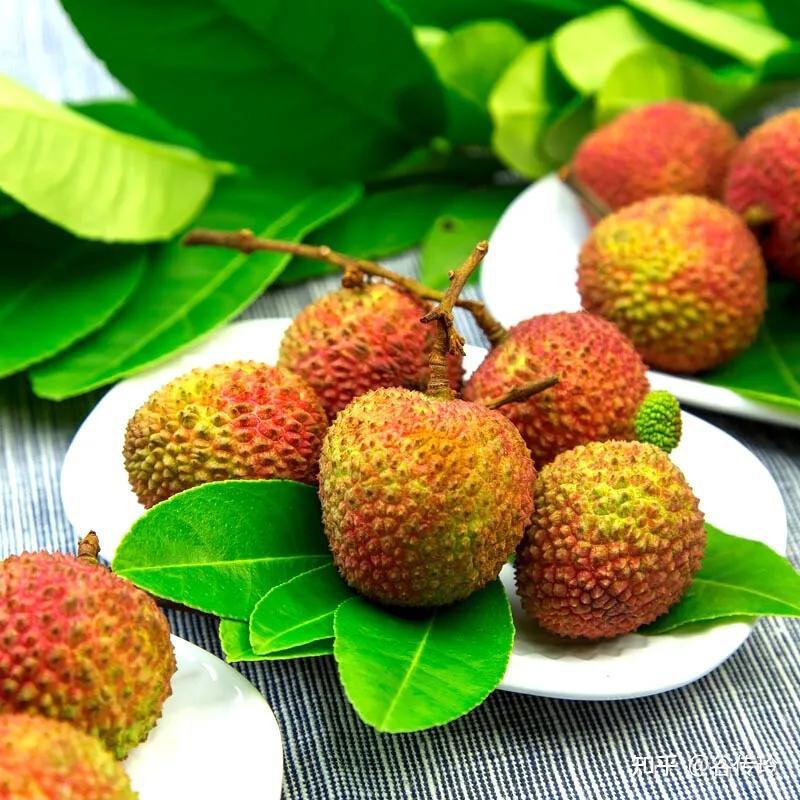 2,妃子笑,红绣球荔枝很补vc