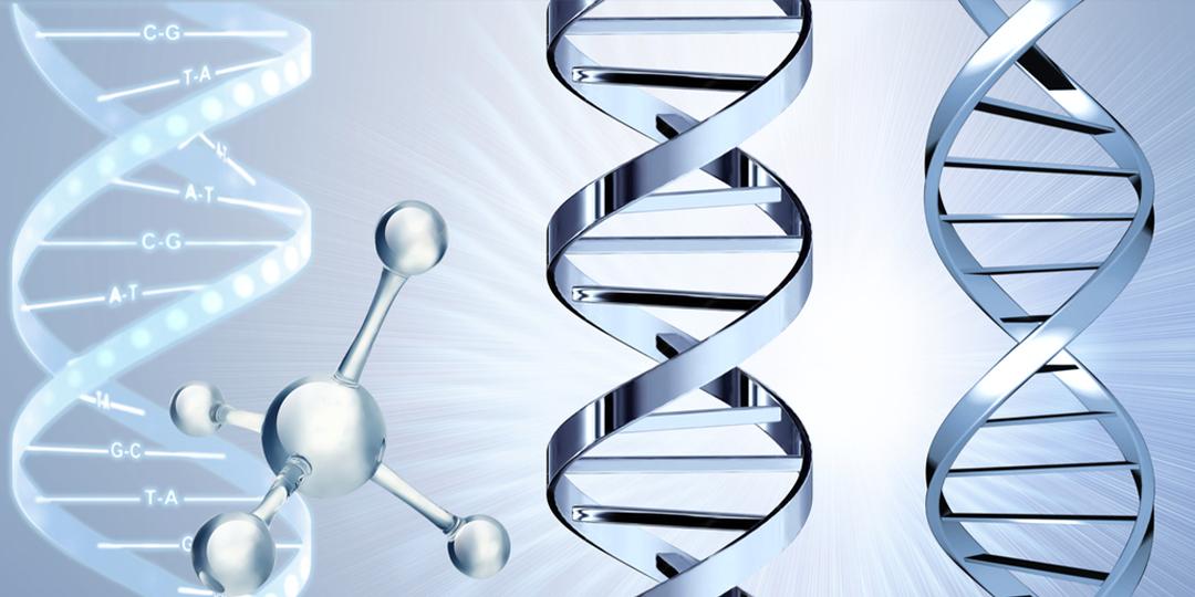 常规的原位技术和组学技术两方面的优势,是转录组学研究领域的新方向