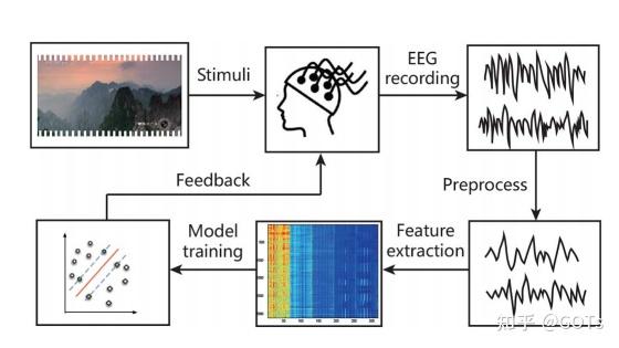 论文解读-investigating critical frequency bands and channels fo