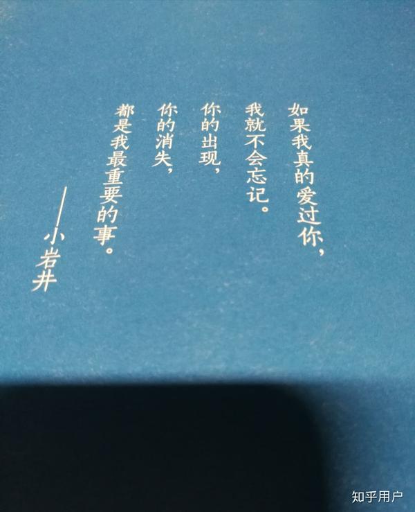 也许我真的是傻子,若所遇皆不是真心,我愿意执着于本心而孤生,唯待命