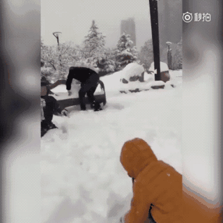 你见过哪些很