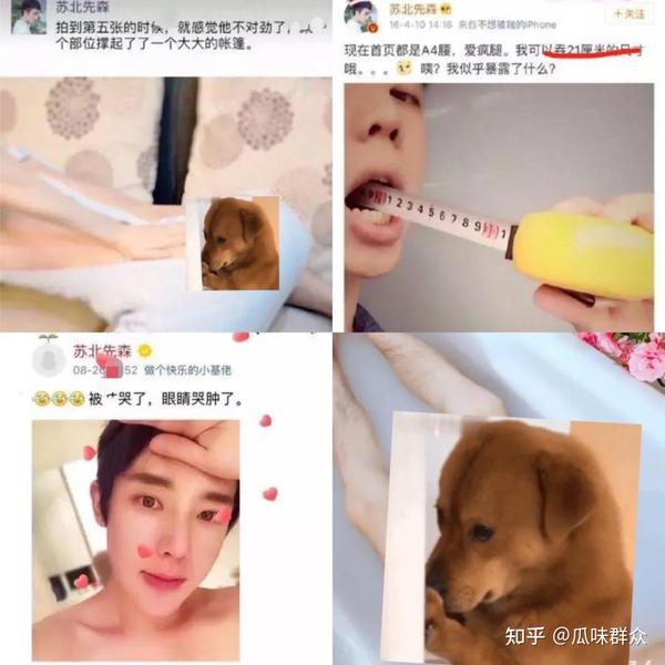 papi酱出演电影女主?b站徐大骚摆拍实锤?gay王之王苏北先森复出?