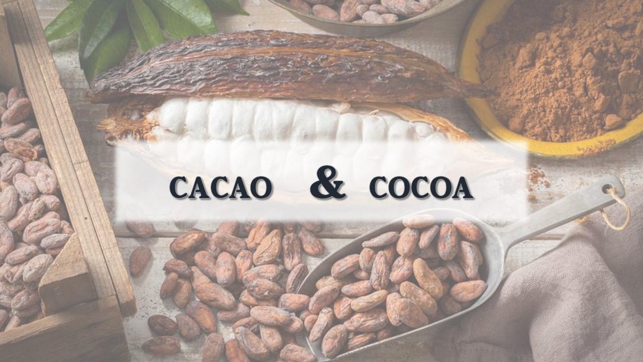 涨芝士cacao和cocoa到底有啥不同