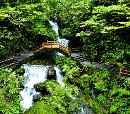 7月起,重庆开启运行多条避暑线路,可到武隆,万盛,黄水