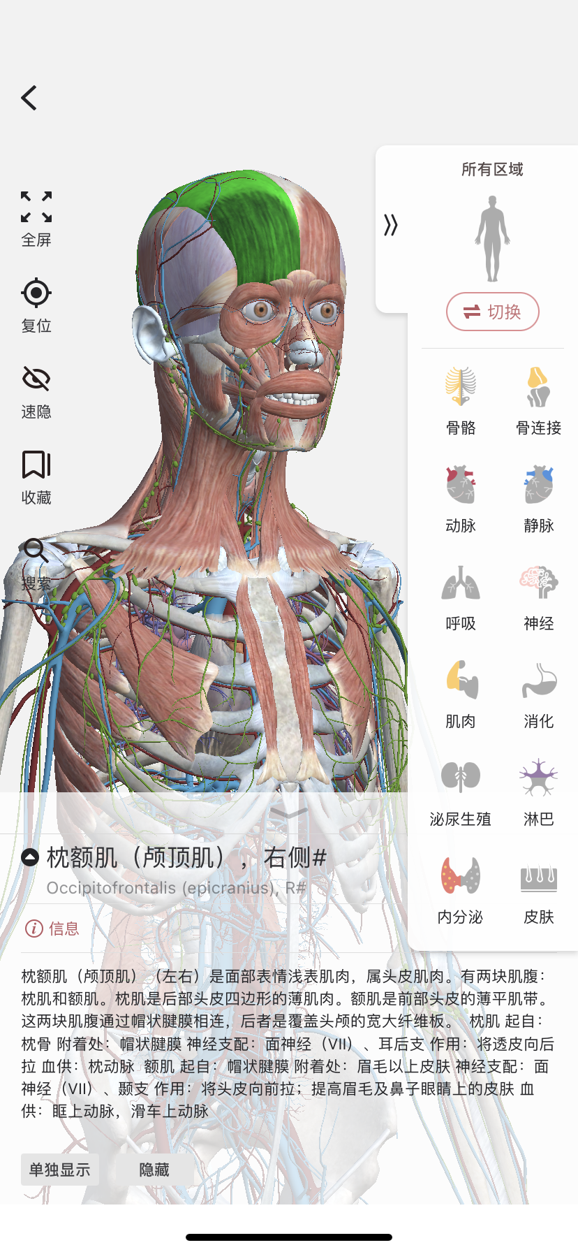 医学生适用的解剖学app