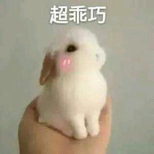 可爱兔子表情包