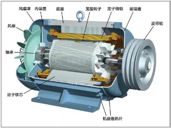 笼型异步电机内部结构图