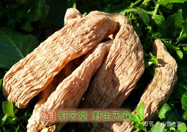 天麻的功效与作用正确吃法