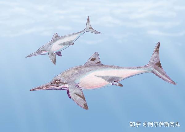 prehistoricpark丨史前公园4远去的深蓝魅影鱼龙兴衰简史