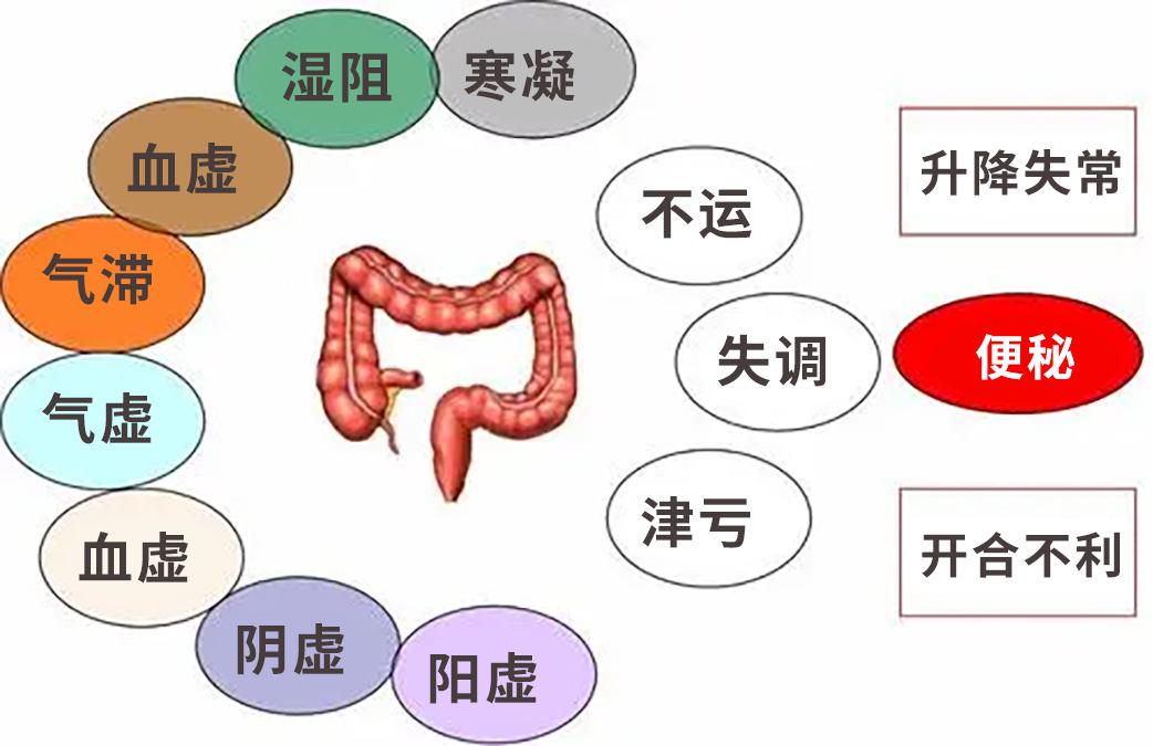 总是便秘拉不出来可能是脾虚了中医辨证从根源解决便秘难题