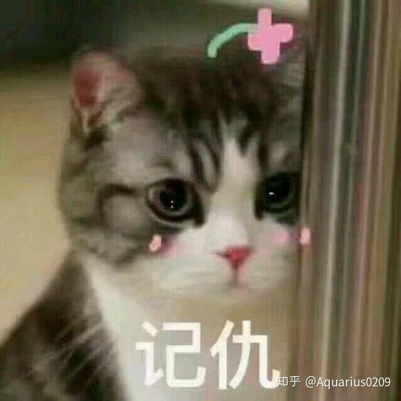 有什么特别可爱猫猫的动态图或表情包吗?