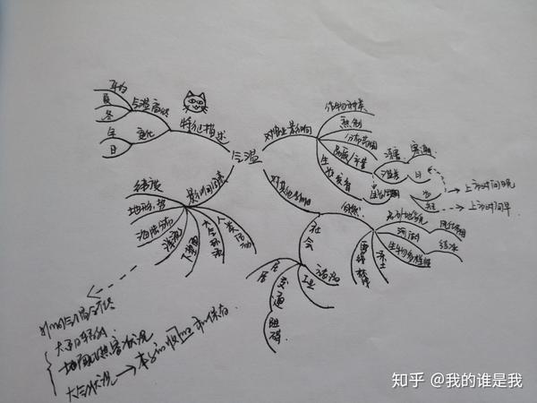 关于气温的思维导图