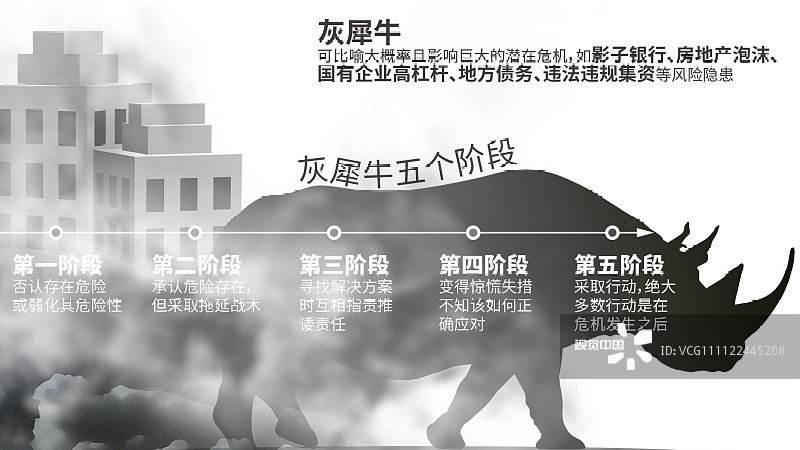 《灰犀牛》,比黑天鹅阔怕!