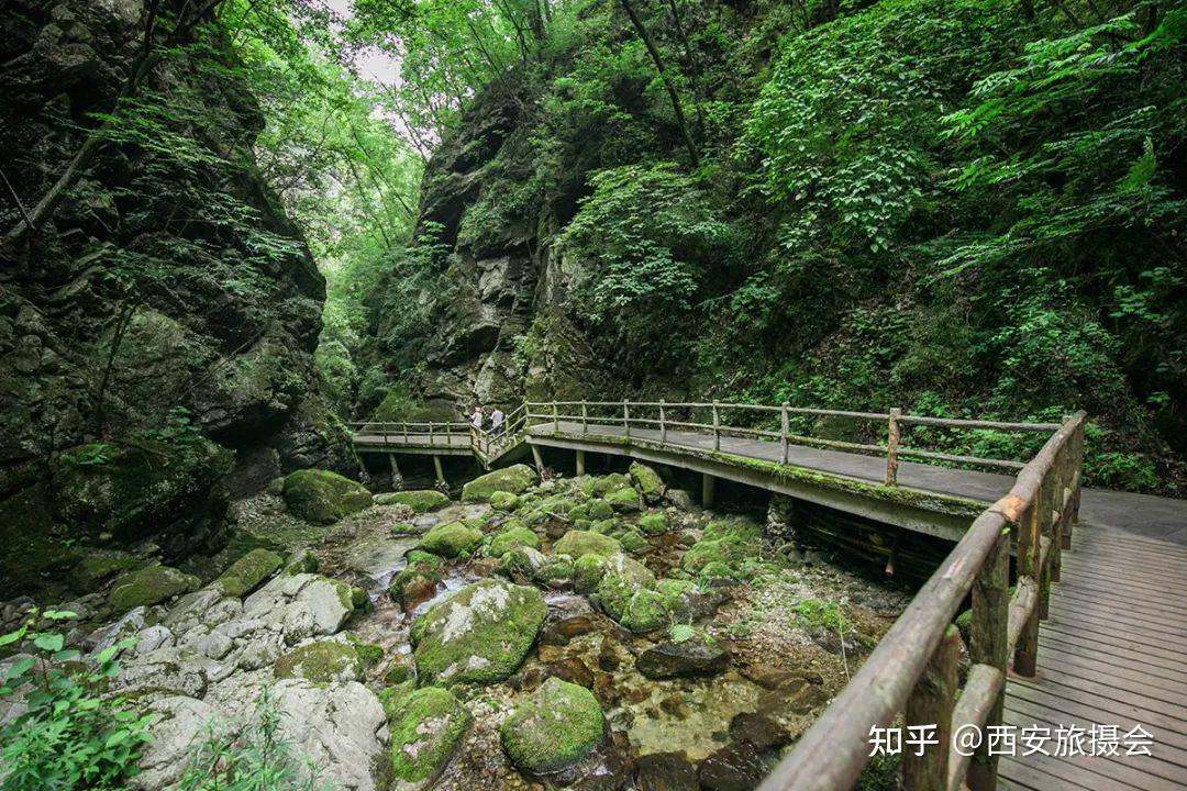 牛背梁森林公园一日游路线门票游玩时间攻略