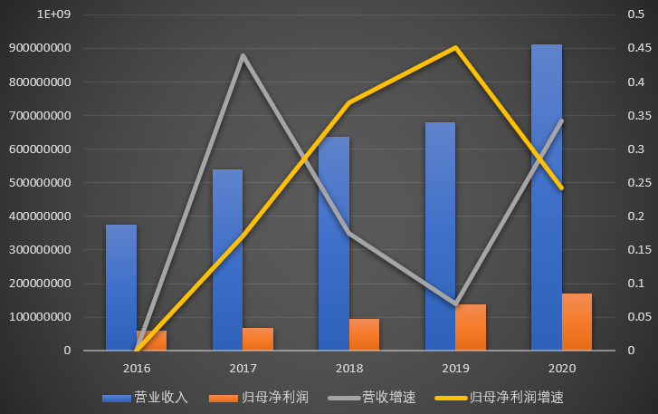 濮阳惠成2020年财务报表分析