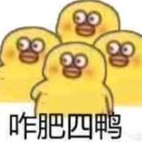 大头梨鸭