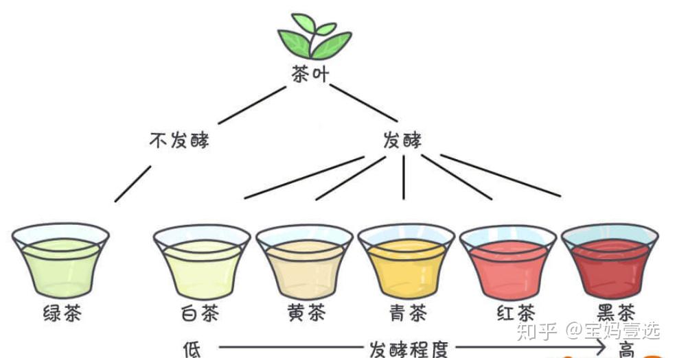 2022年茶叶推荐送长辈茶叶送礼茶叶分类茶叶品牌推荐绿茶白茶黄茶青茶