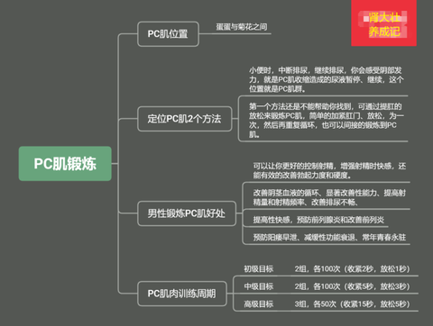 怎么练习pc肌?