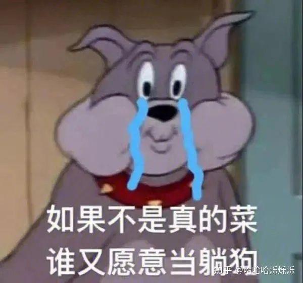 如果不是真的菜谁又愿意当躺狗丨表情包